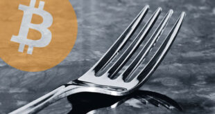 Qu’est-ce qu’un fork et pourquoi le bitcoin en subit-il ?