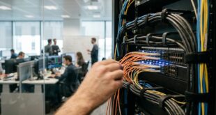 Trading 212 : Analyse de l’Architecture de Courtage et Stratégie d’Allocation